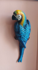 rare antique bird macaw blue