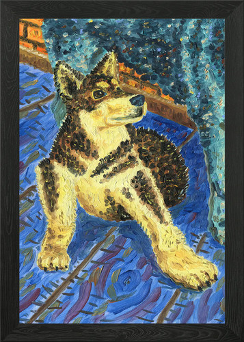 Portrait husky puppy - of,