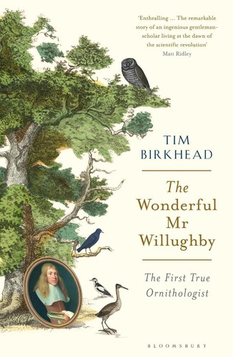 The wonderful willughby - wonderful,