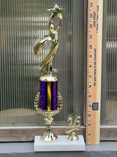 Star excellence award - excellence,