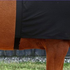 Horse Shoulder Guard Easy to