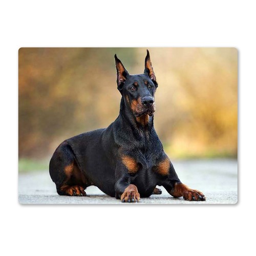Metal wall sign dogs - wall,