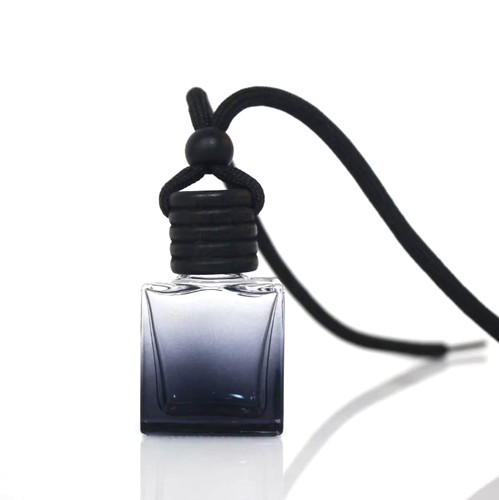 Empty hanging car diffuser - empty,