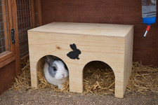 Wooden rabbit guinea pig - wooden,