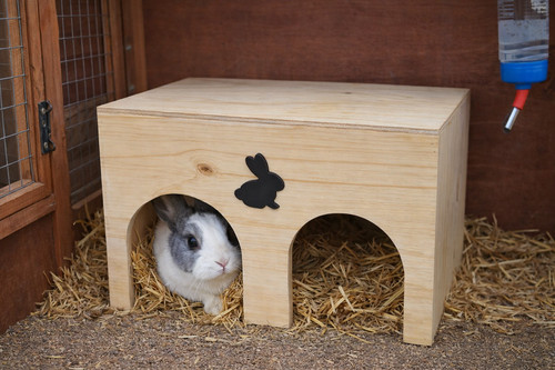 Wooden rabbit guinea pig play - wooden,