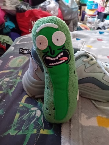 Rick and morty - morty, pickle