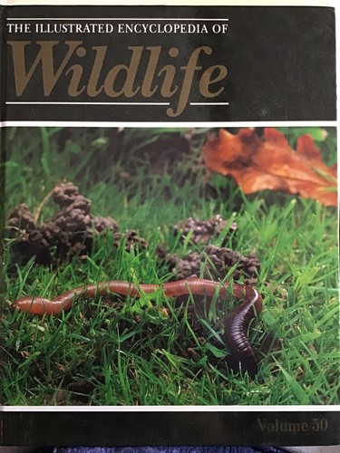 The illustrated encyclopedia - the,