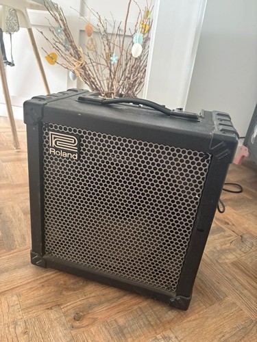 Roland cube cosm guitar - 60,