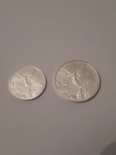 2024 1 x 1/10 oz and 1 x 1/20
