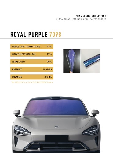 Royal purple chameleon - purple, 75%