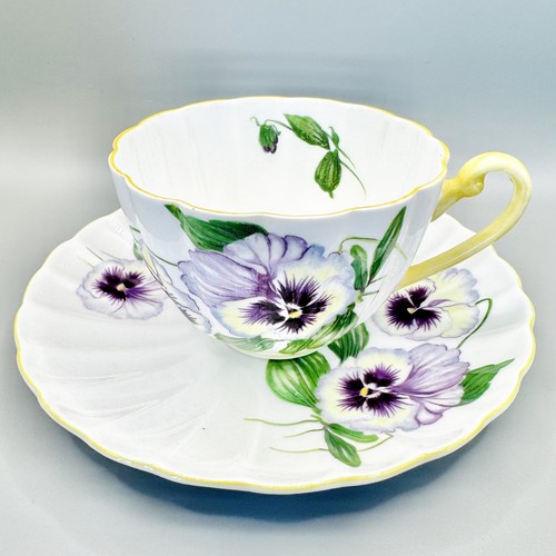 Shelley pansy 13823 ludlow - pansy,