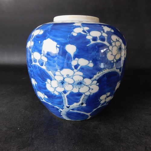 Large antique chinese prunus - antique,