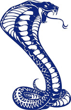 EXTRA LARGE 30" king cobra