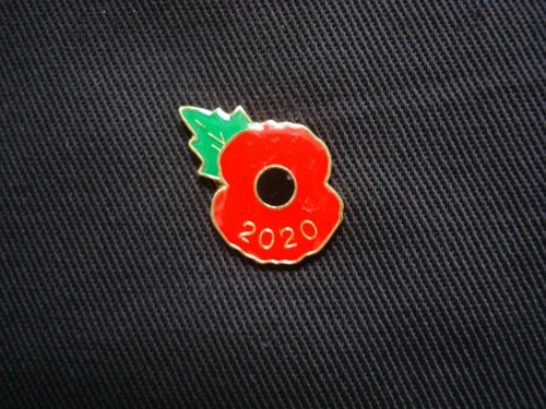 2020 remembrance y pin - 2020,