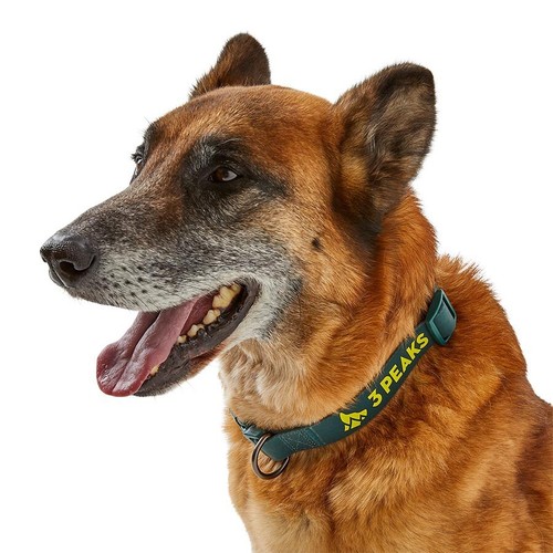 Peaks waterproof dog collar - waterproof,