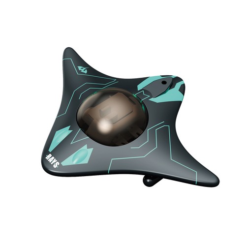 Remote control boat - remote,
