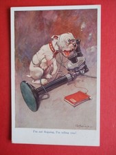 Old studdy dogs comic - e,