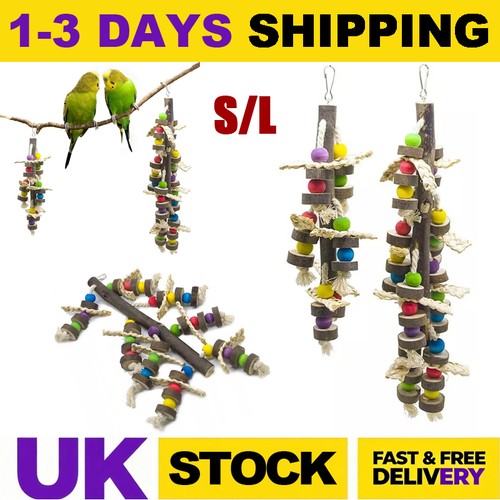 Giant macaw parrot swing - parrot,