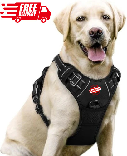 Adjustable nylon dog harness - nylon,