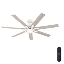 Hunter Fan 70 inch Casual