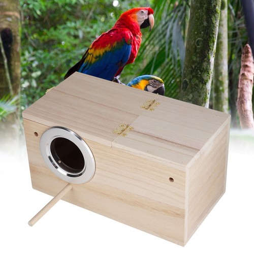 Quality wooden pet - quality, bird