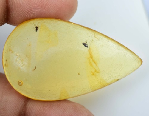 100 natural yellow - 100%,