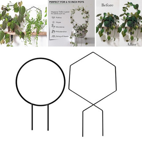 New vine climbing rack flower - new,