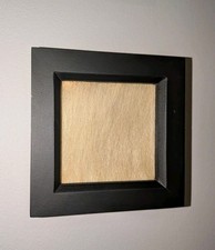Framed Antique Polar Bear Fur