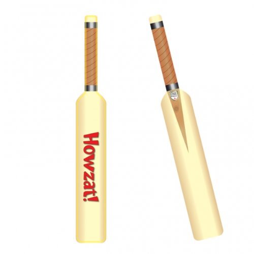 Inflatable cricket bat foil - cricket,