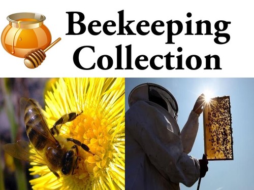 Bee keeping and apiary - keeping,