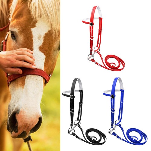 Horse bridle with rein - bridle,