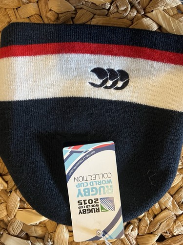 2015 england rugby world cup