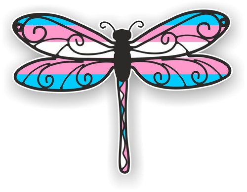 Beautiful dragonfly insect - beautiful,
