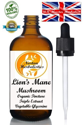Lion mane triple extract - lion's,