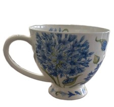 NEW ~DUNOON SKYE~ Agapanthus