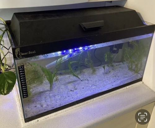 Clearseal 64l aquarium with - clearseal,