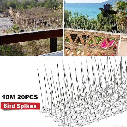 10m pigeon birds - birds, spikes