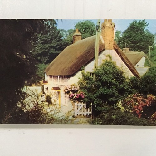Vintage postcard jasmin - postcard:,