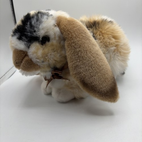 Living nature dutch lop ear - lop,