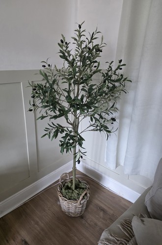 Contempee flowers realistic - contempee,