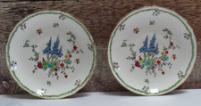 Two (2) Vintage 1960s Royal Tuscan fine bone china Floral 5 1/2 in dia. Saucers