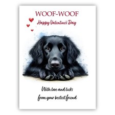 Black Flat Coated Retriever