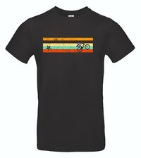 Mountain bike RETRO stripe