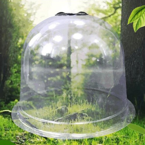 Small reusable plastic mini - small,
