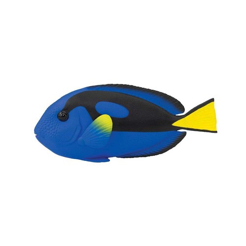 Blue tang incredible - incredible, creatures