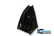 rear mudguard carbon