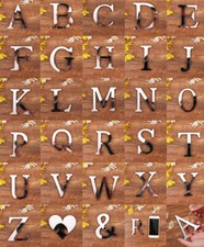 Wall Sticker Mirrored Effect