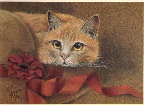 Sue willis bonnington cat - willis,