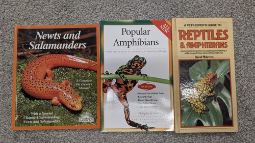Newts and salamanders - newts,
