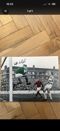 Middlesbrough willie - middlesbrough, fc